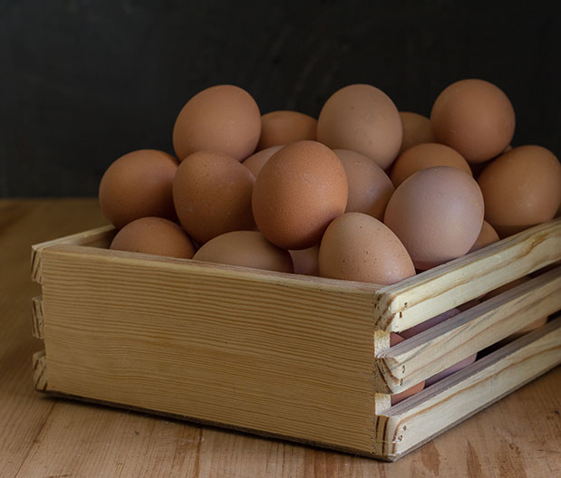 egg-trays